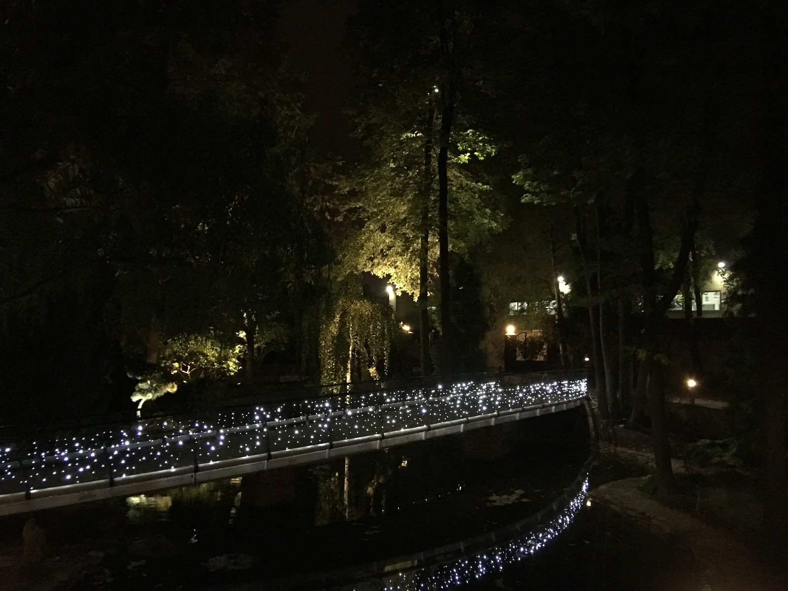 Ландшафтное освещение