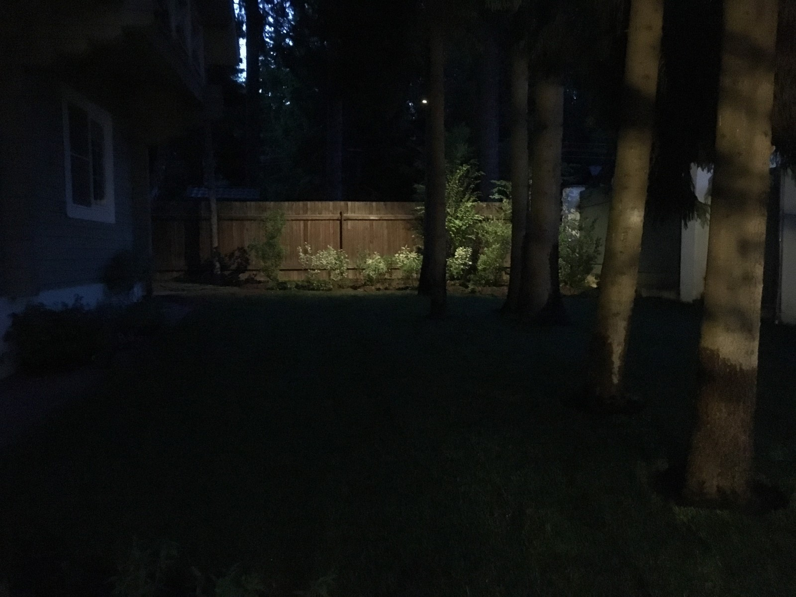 Ландшафтное освещение