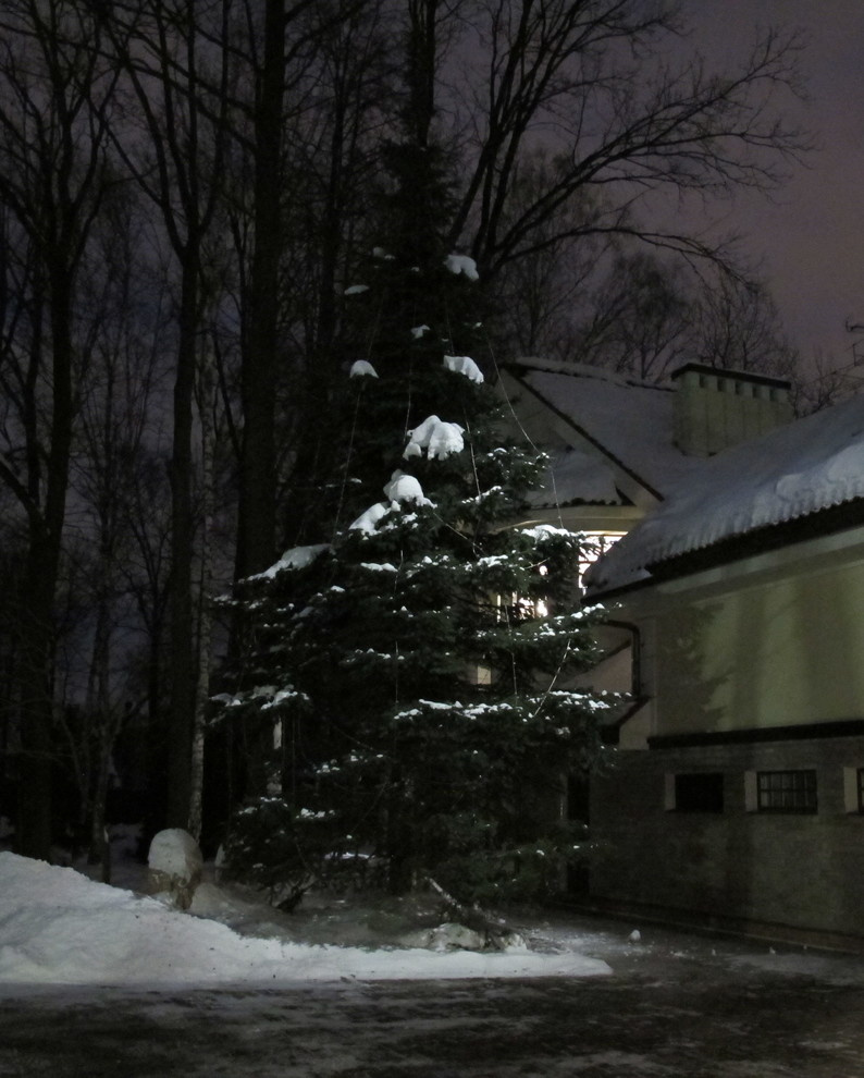 Ландшафтное освещение