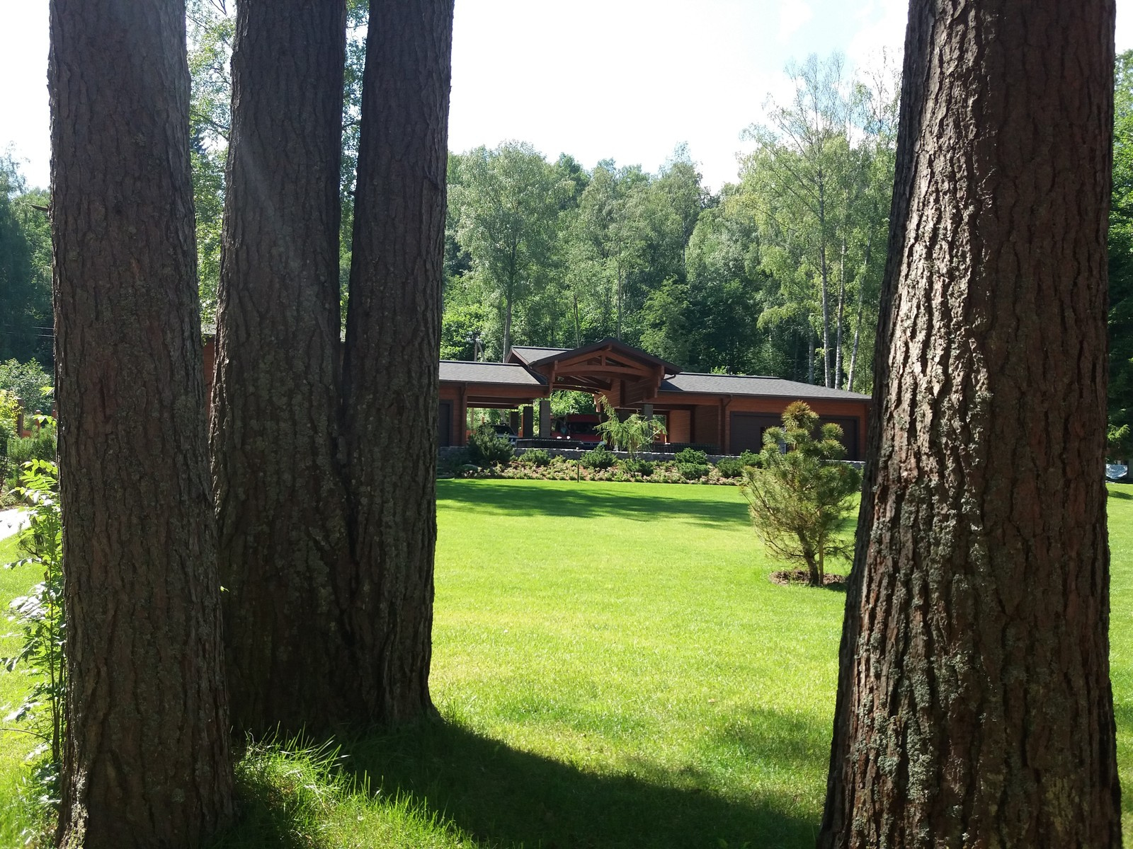 Сад на берегу озера