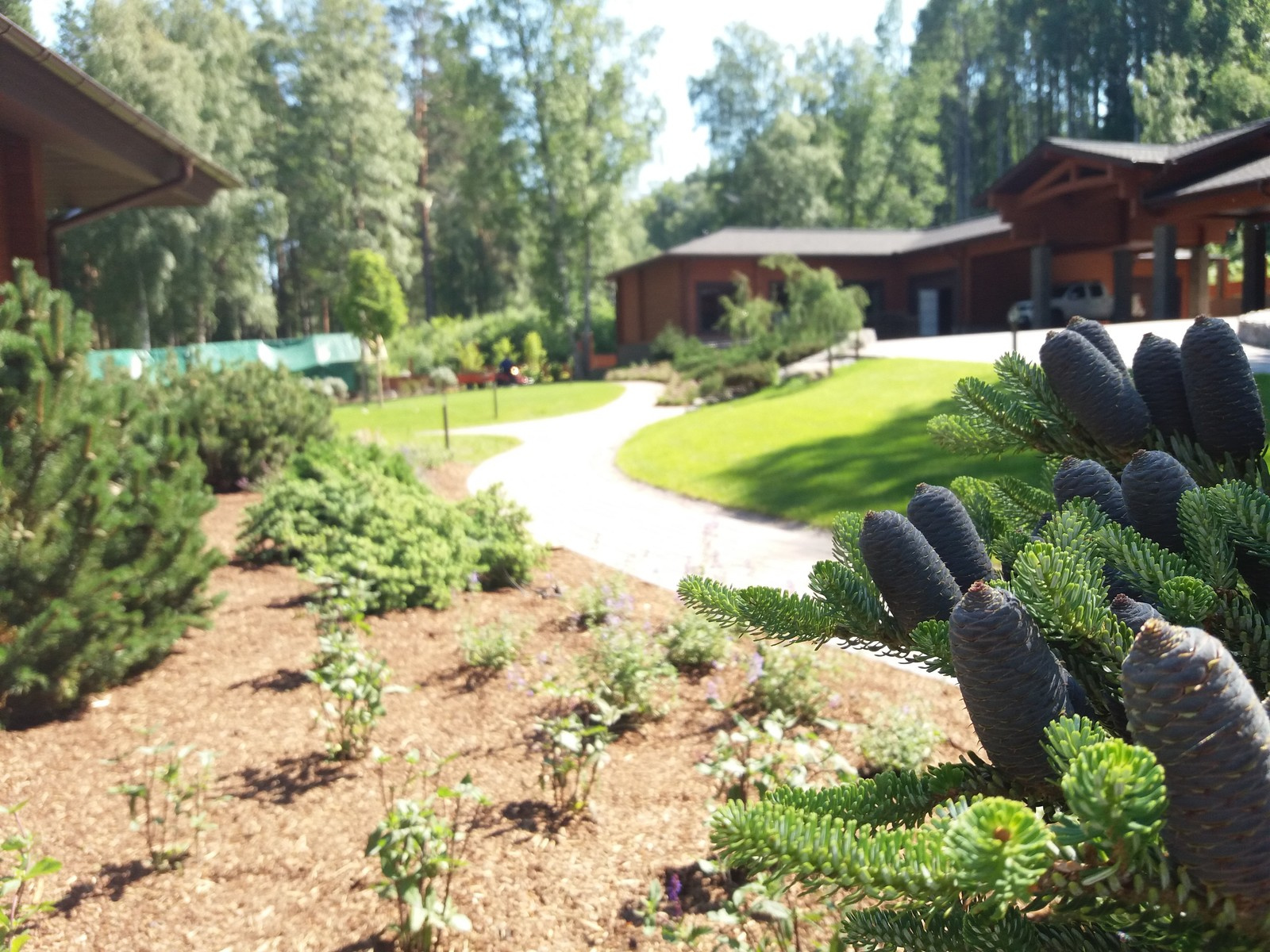 Сад на берегу озера