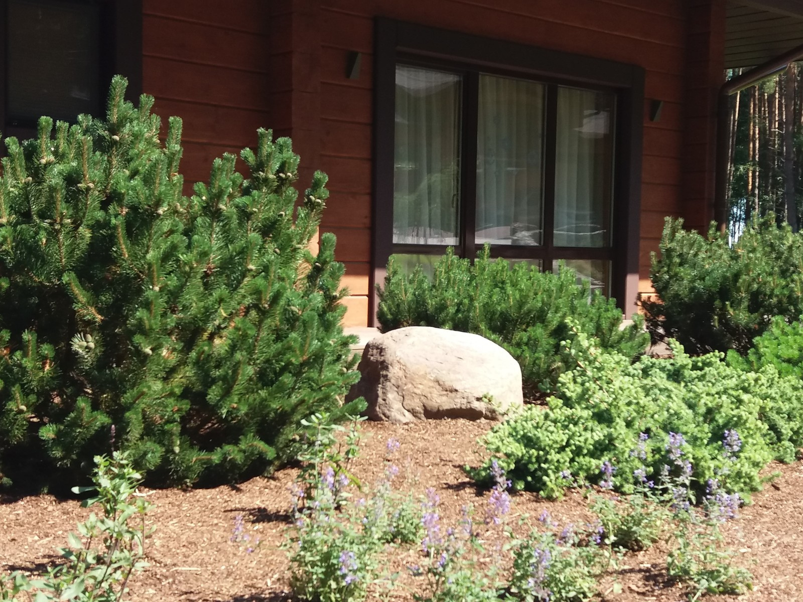 Сад на берегу озера