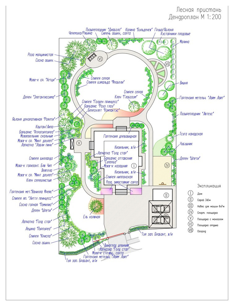 Дендроплан