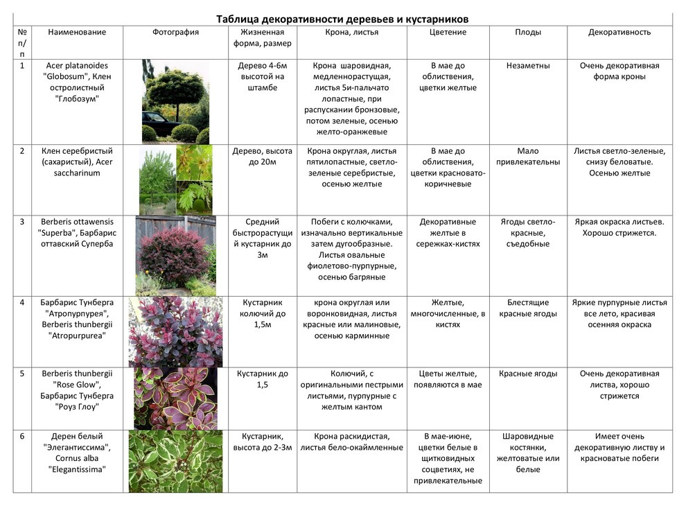 Таблица декоративности
