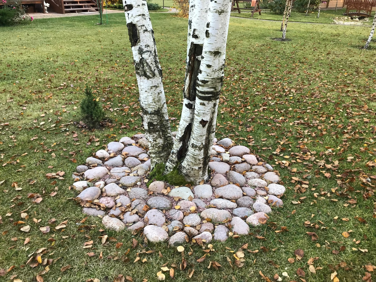 КП Лесные озера