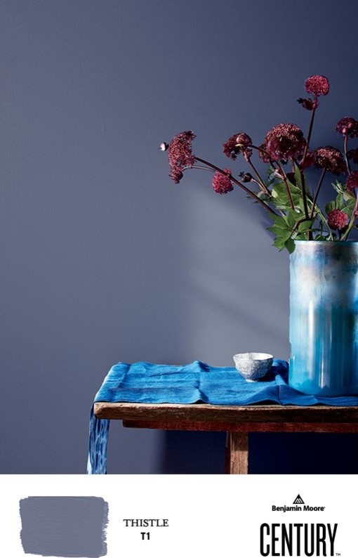 Benjamin Moore, Century,  цвет THISTLE (T1)
