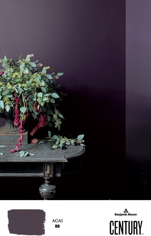 Benjamin Moore, Century,  цвет ACAI (R8)
