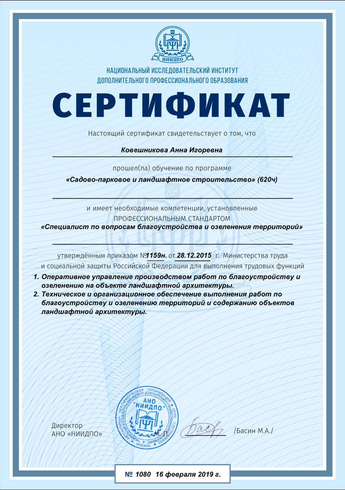 мои дипломы и сертификаты