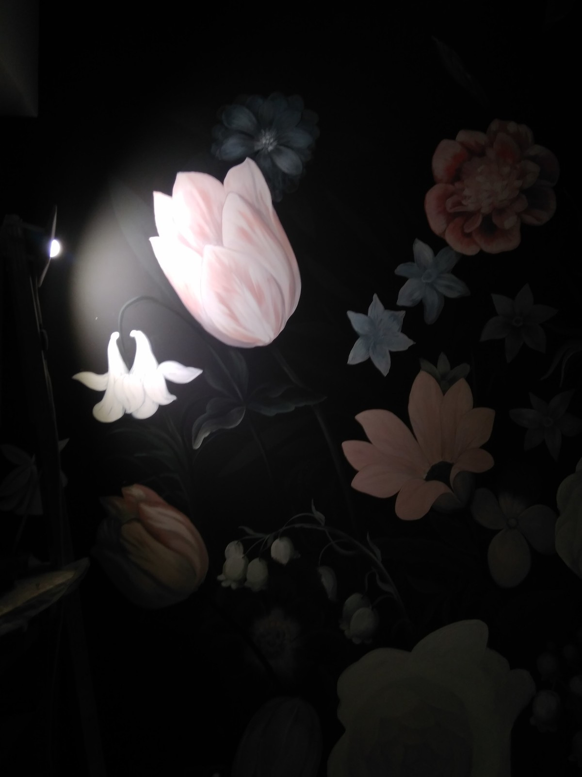 Салон красоты NUOVO NERO