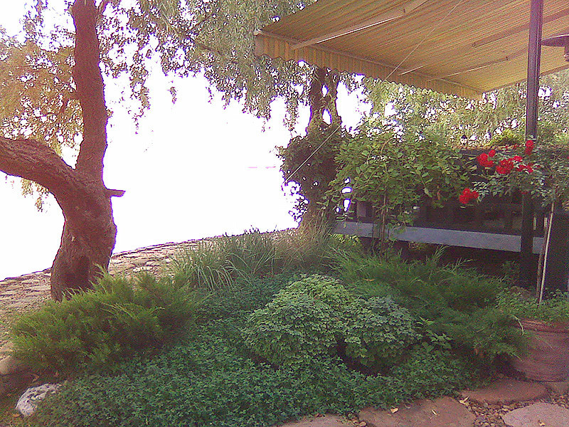 Отель Old House Resort & Spa