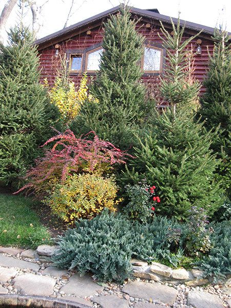 Обложка проекта: Отель Old House Resort & Spa