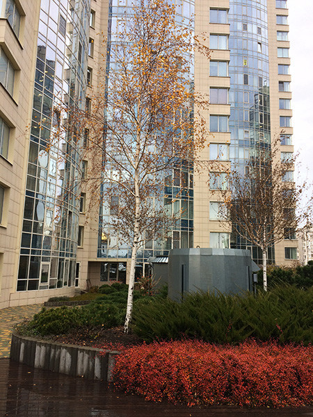 Парк на стилобате бизнес-центра