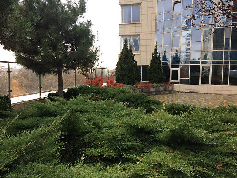 Парк на стилобате бизнес-центра