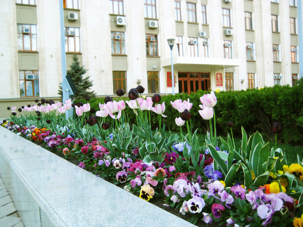 Администрация Краснодарского края