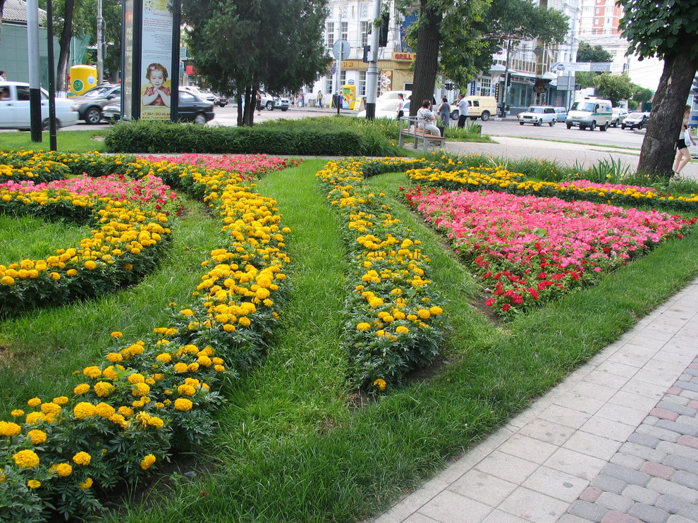 Бульвар на ул. Красной