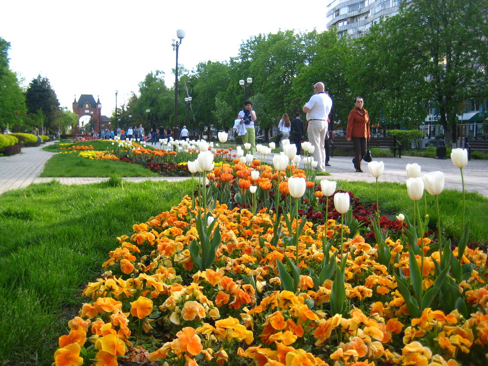 Бульвар на ул. Красной