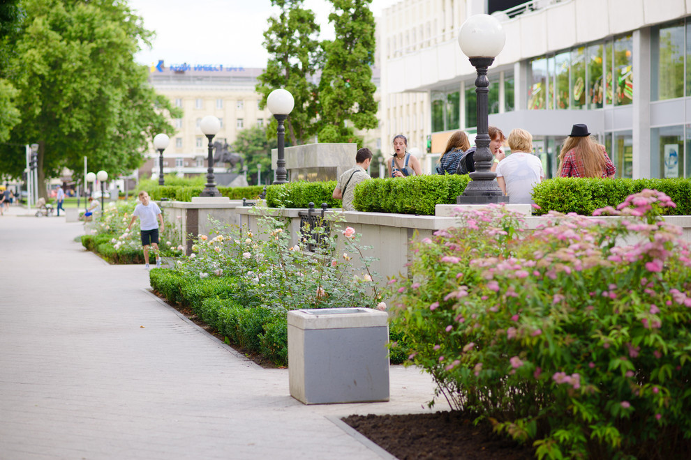 Обложка проекта: Дом Книги