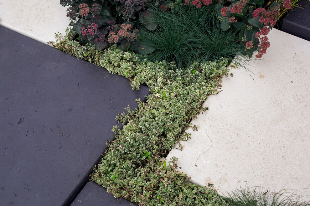 Выставочный сад на ВДНХ