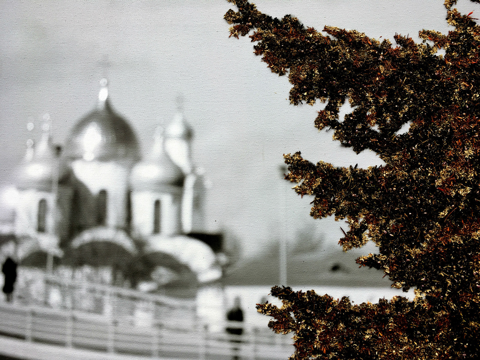Чайная история