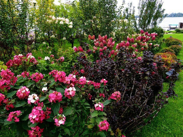 Озеленение частного особняка