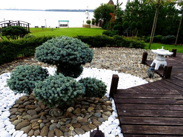 Озеленение частного особняка