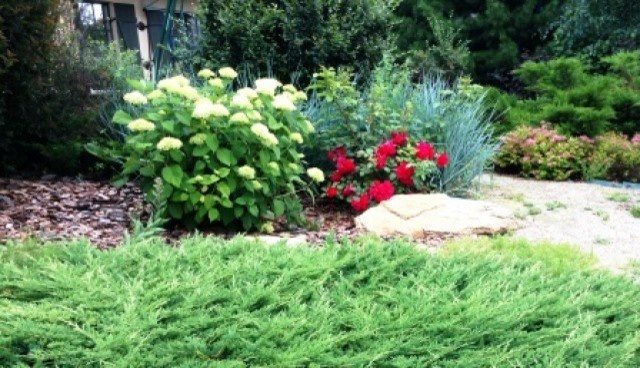 Озеленение частного дома