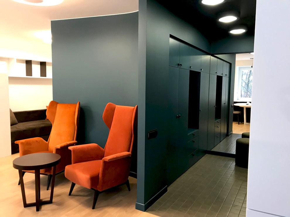 Шкаф в прихожей в квартире студии