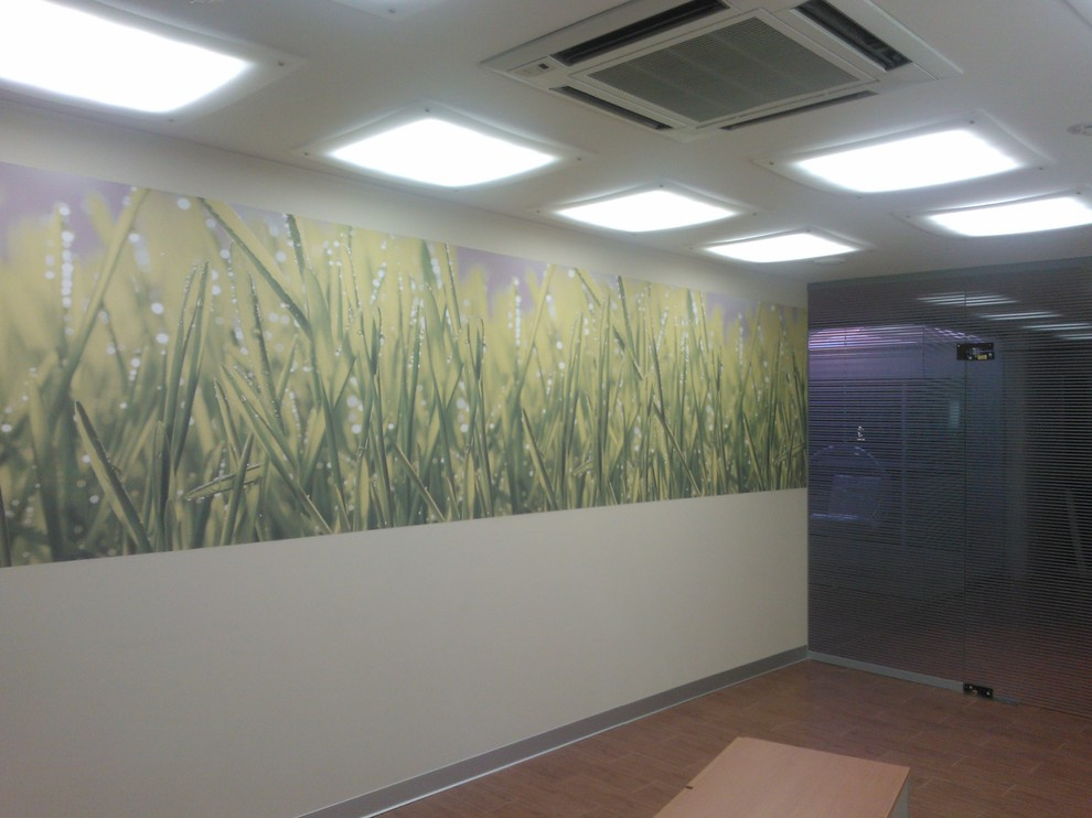 ФОТООБОИ и другие