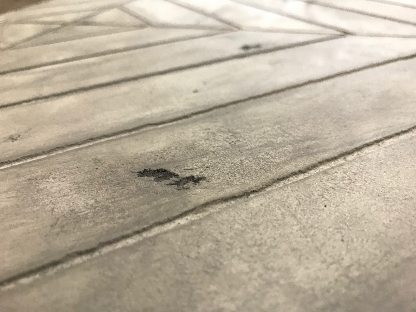 Опираясь на бетон/Drawing on concrete