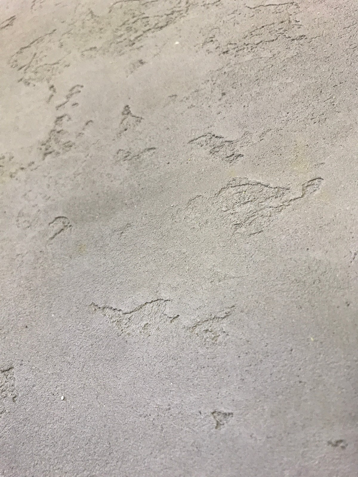 Опираясь на бетон/Drawing on concrete