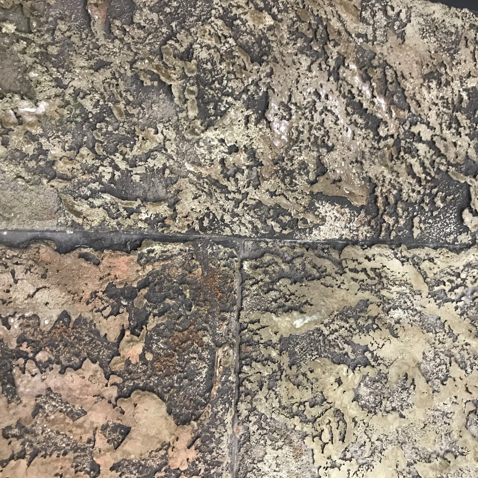 Accents for walls