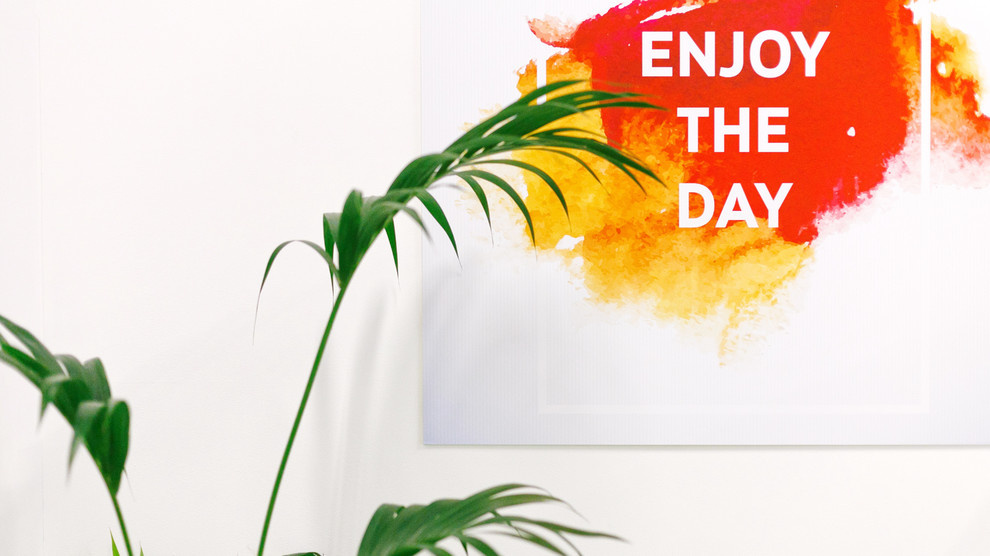 Segmento интерьерная фотосъемка офиса