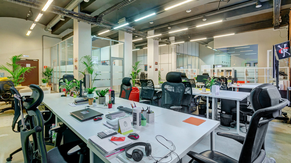 Segmento интерьерная фотосъемка офиса