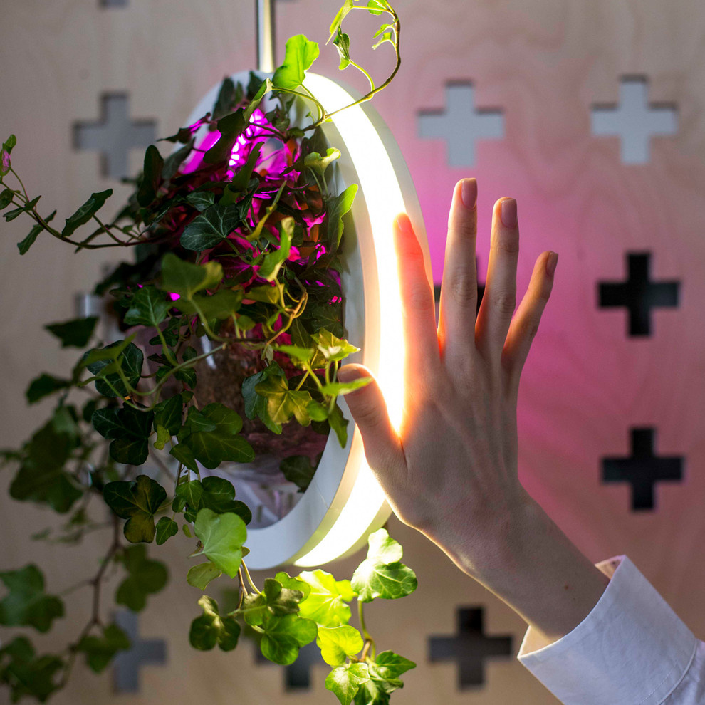 Woodled| Фитолампа