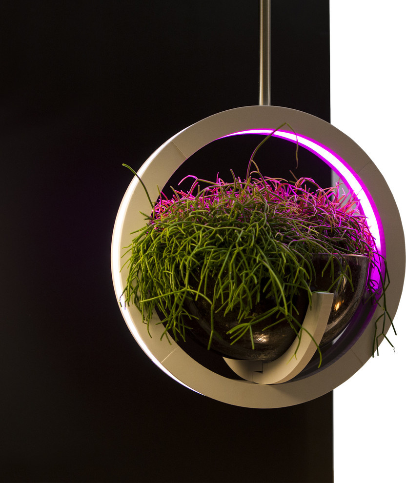 Woodled| Фитолампа