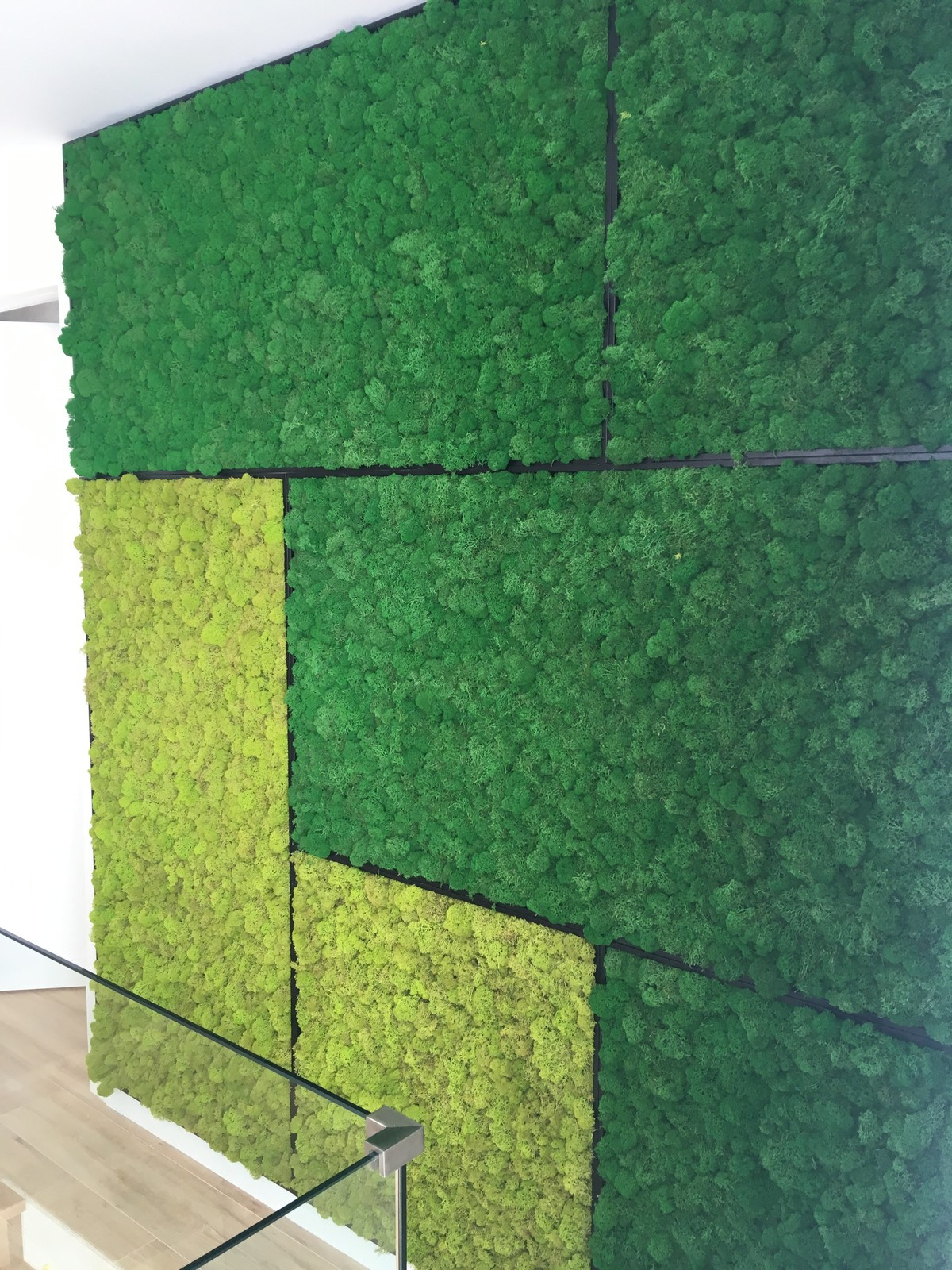 Впусти природу в дом