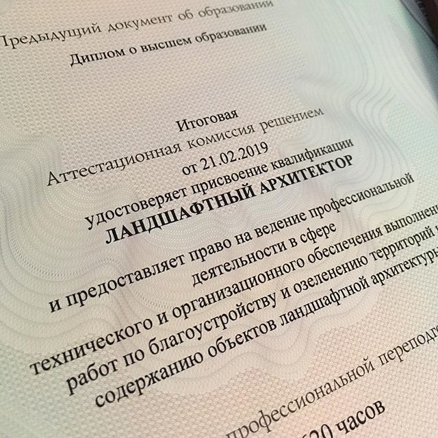 мои дипломы и сертификаты