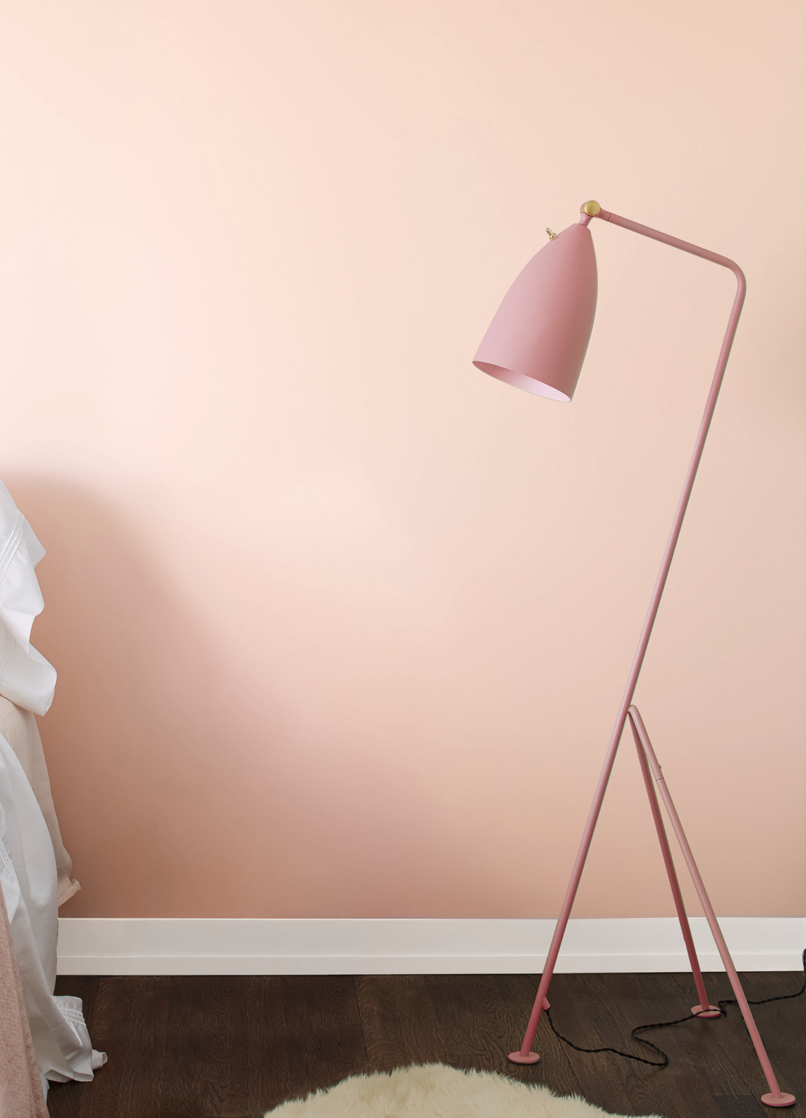 Цвет года 2018 (Caliente AF-290)