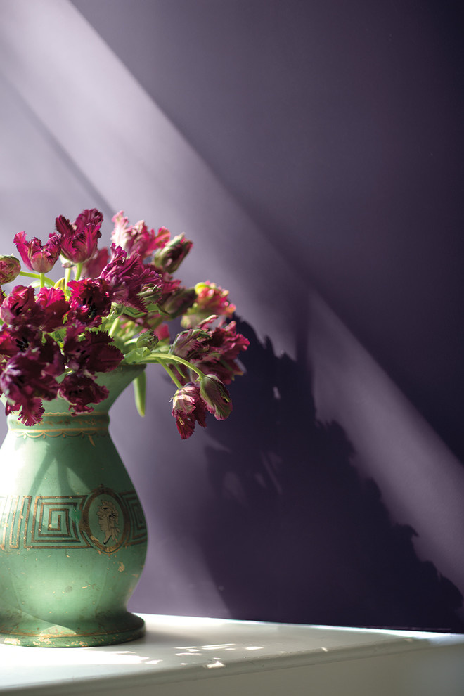 Цвет года 2017 (Shadow 2117-30)