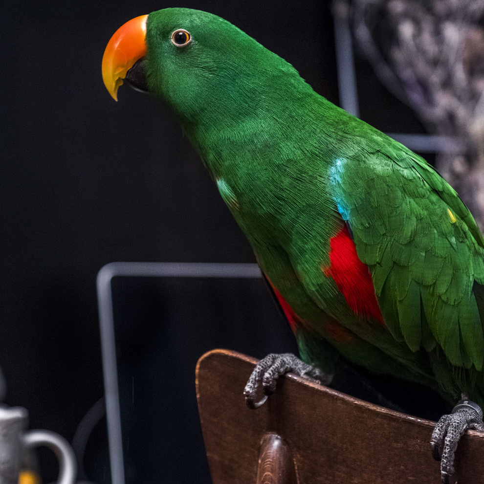 Комната-кабинет интерьерного фотографа Дины Александровой