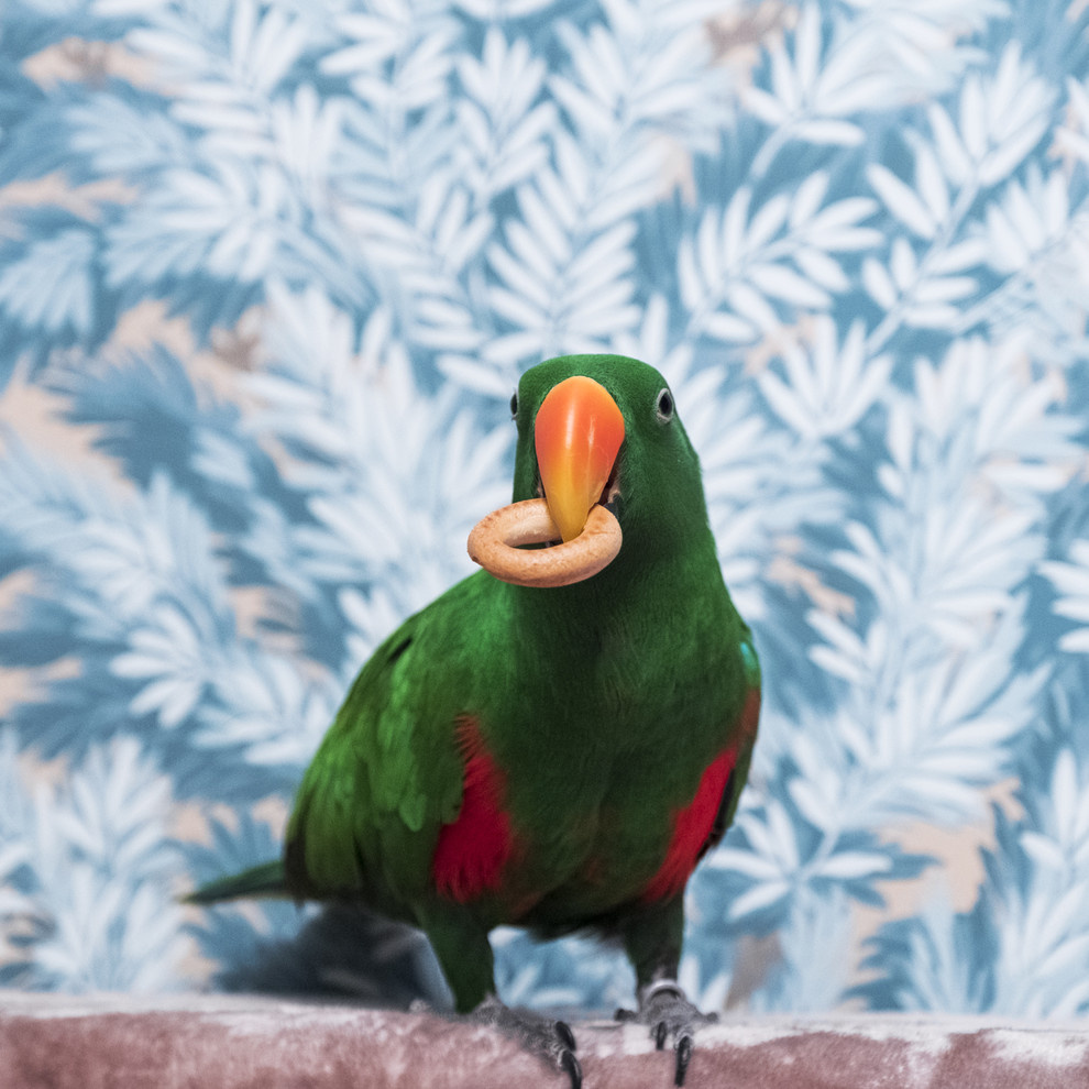 Комната-кабинет интерьерного фотографа Дины Александровой