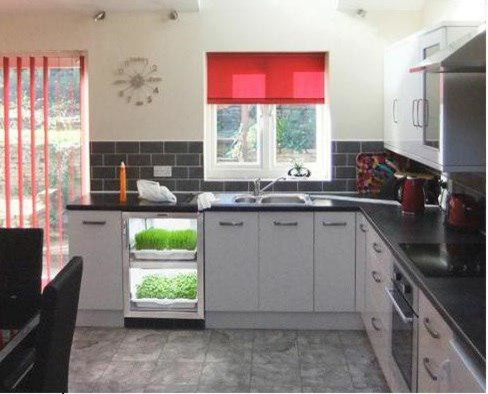 Urban Cultivator для домашнего использования