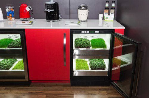 Urban Cultivator для домашнего использования