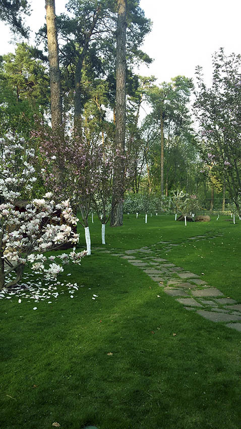 Коттеджный поселок. Одинцовский район