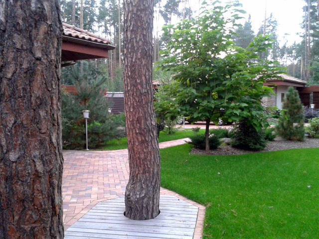 Коттеджный поселок. Одинцовский район