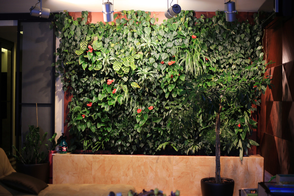 Фитостена в квартире, Коломяги