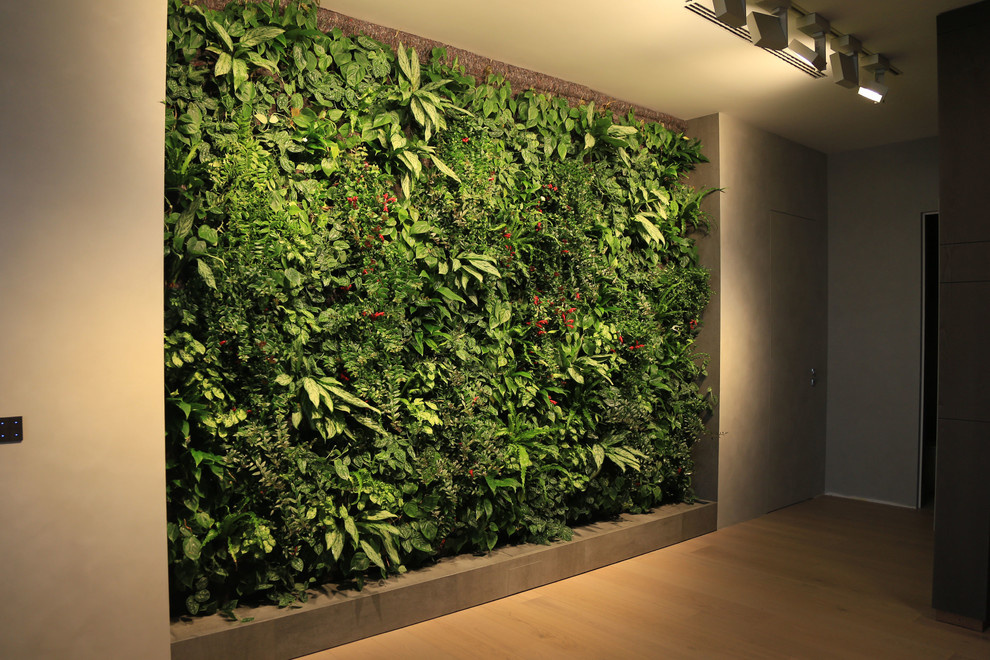 Фитостена в квартире в жилом комплексе у Смольного собора