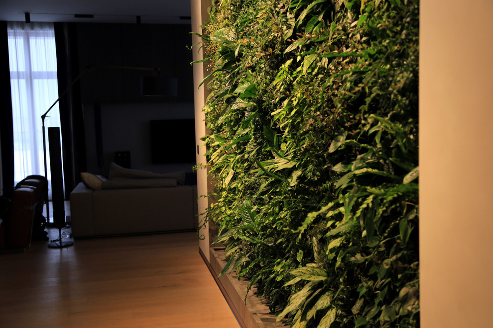 Фитостена в квартире в жилом комплексе у Смольного собора