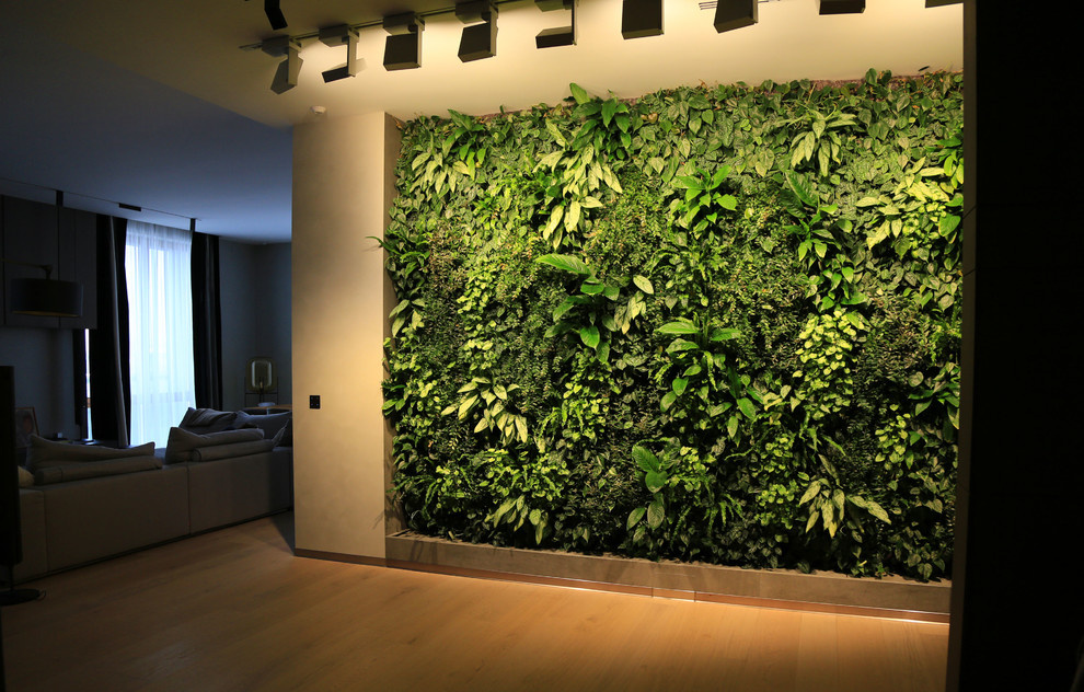 Фитостена в квартире в жилом комплексе у Смольного собора