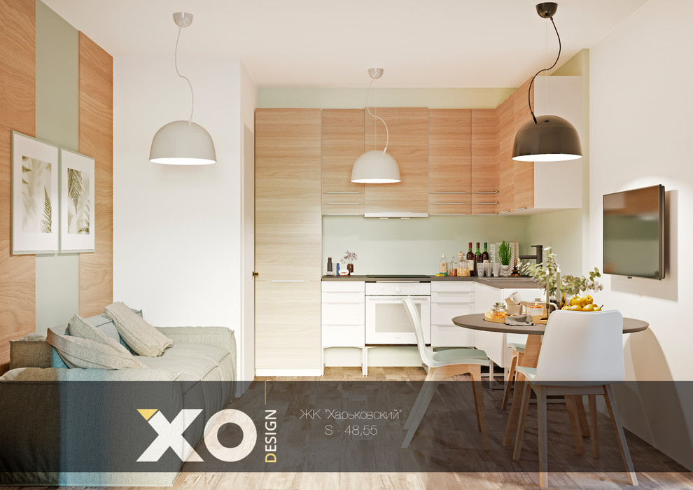 Eco-minimalism 48m2